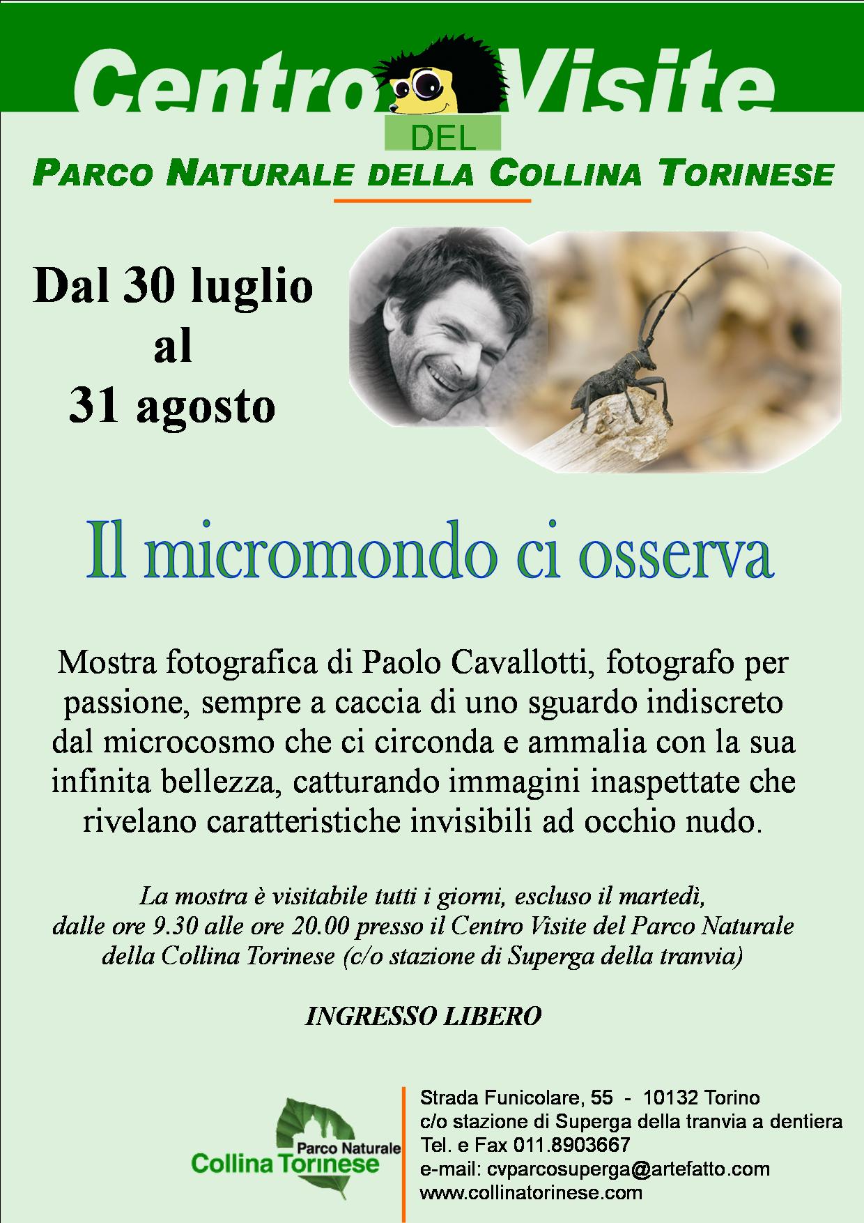 Il micromondo ci osserva